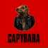 Capybara