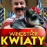 Windstar