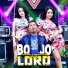 Arlida Putri, Lala Widy, Brodin, Ageng Music