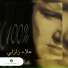 Alaa Zalzali