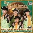 Los Gatilleros De Michoacan