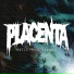 Placenta
