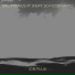 Ion Flux feat. SchizoFranic