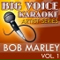 Big Voice Karaoke