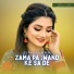 Bahadar Zaib
