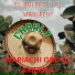 Charly feat. Mariachi Oro De America
