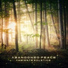 Ambiente Solstice
