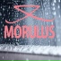 MORULUS