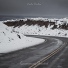 Arctic Tundra