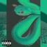 RadTheFirst