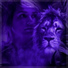 LION feat. RÁAE