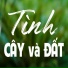 Sơn Hạ