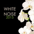 White Noise Masters