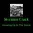 Sternum Crack