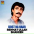 Rehmat Ullah Shaheen