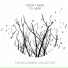 The Blackbird Collective