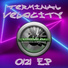 Terminal Velocity
