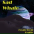 Sad Whale