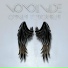 Voxdivide