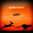 EXPECT:NOT! (Charming Horses Remix)