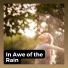 The Sound of Rain & Thunder