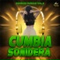 Cumbia Sonidera, Sonidero