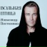 Александр Постоленко