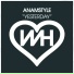 AnAmStyle