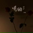 林施