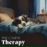 Dog Music Waves