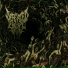 Defeated Sanity