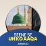 Junaid Ali