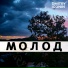 Dmitry Igonin