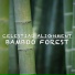 Celestial Alignment