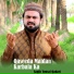 Saqib Yousaf Qadari