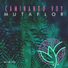 Mutaflor