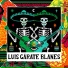 Luis Garate Blanes feat. Régis Fernandes