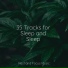 Avslappning Sound, Spa Relaxation, Sleepy Times