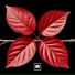 Rillium