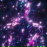 ZHANTX