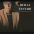 Nizar Ali