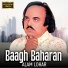 Alam Lohar