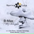 B-Max [http: musvkontakte.ru]