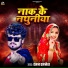 Ratan Ratnesh