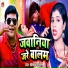 Shreenath Kauwal