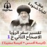 Pope Shenouda III