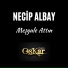 Necip Albay