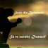 Sorin din Barbulesti