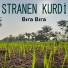 Stranen Kurdi