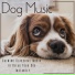 Relaxmydog, Calm Your Dog, Dog Music Dreams